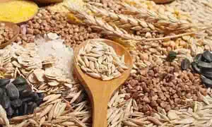 Food License (FSSAI) Registration for Agricultural Products Food License (FSSAI) Registration for Agricultural Products