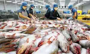 Food License (FSSAI) Registration for Fish Exporters Food License (FSSAI) Registration for Fish Exporters