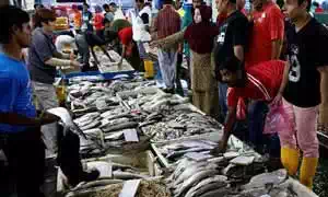 Food License (FSSAI) Registration for Fish Retailers Food License (FSSAI) Registration for Fish Retailers